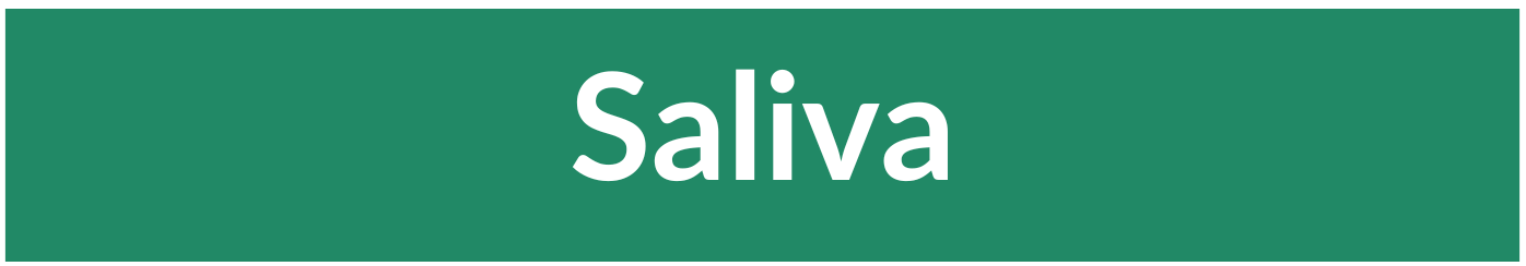 Saliva